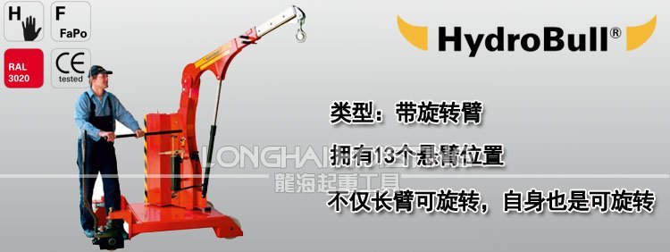 德國帶旋轉臂工業液壓小吊車 德國帶旋轉臂工業液壓小吊車